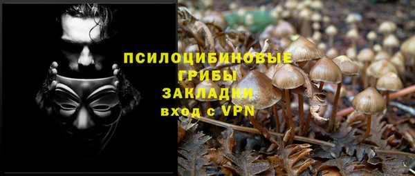 альфа пвп Армянск
