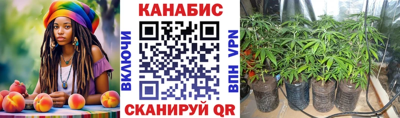 наркота  Николаевск-на-Амуре  Бошки Шишки VHQ 